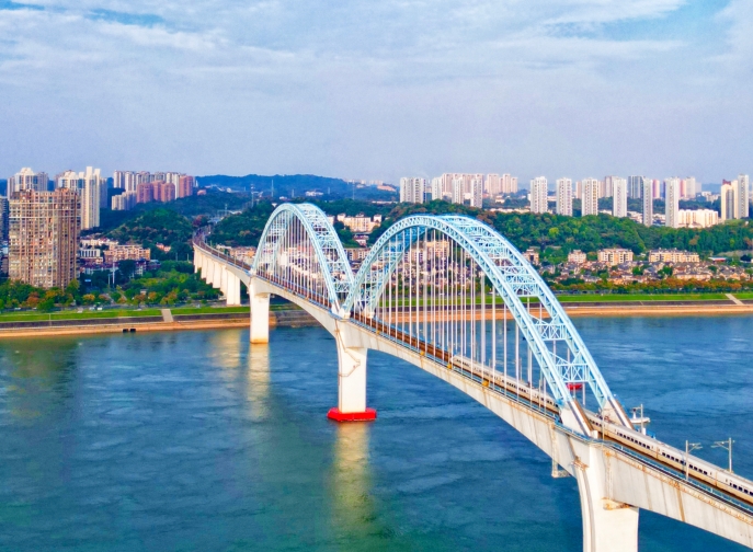 向光而行，花開滿途